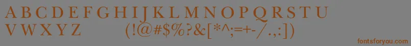 Newbaskervilleexpscc Font – Brown Fonts on Gray Background