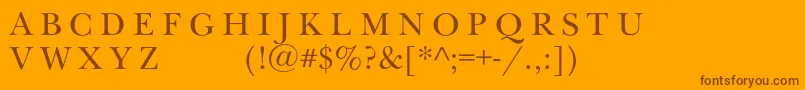 Newbaskervilleexpscc Font – Brown Fonts on Orange Background