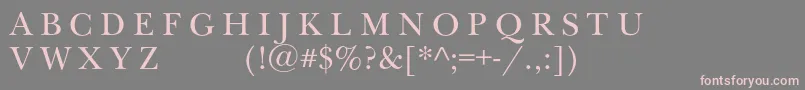 Newbaskervilleexpscc Font – Pink Fonts on Gray Background