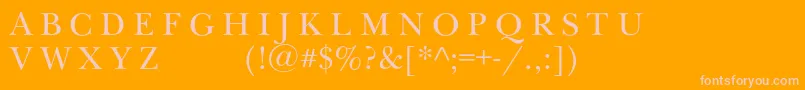 Newbaskervilleexpscc Font – Pink Fonts on Orange Background