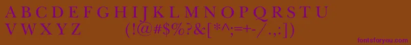 Newbaskervilleexpscc Font – Purple Fonts on Brown Background