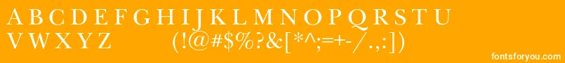 Newbaskervilleexpscc Font – White Fonts on Orange Background