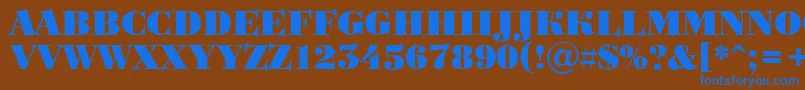 ABodoniortotitulBlack Font – Blue Fonts on Brown Background