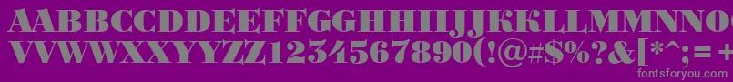 フォントABodoniortotitulBlack – 紫の背景に灰色の文字