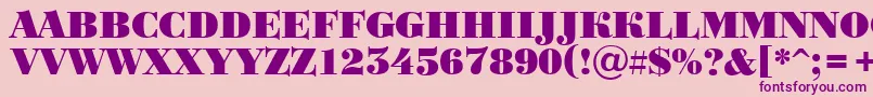 ABodoniortotitulBlack Font – Purple Fonts on Pink Background