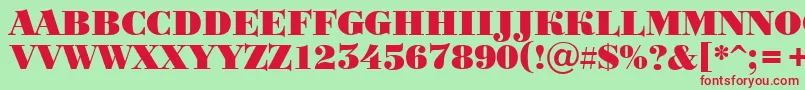 ABodoniortotitulBlack Font – Red Fonts on Green Background