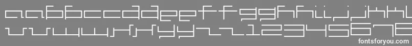 V5cus Font – White Fonts on Gray Background