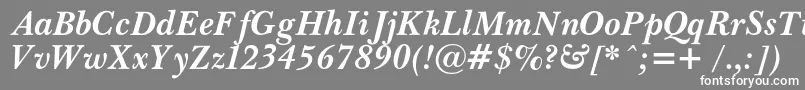 PasmacBolditalic Font – White Fonts on Gray Background