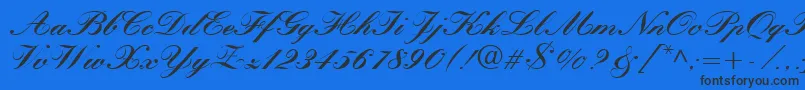 QuillScriptBlackSsiBlack Font – Black Fonts on Blue Background