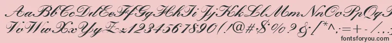 QuillScriptBlackSsiBlack Font – Black Fonts on Pink Background