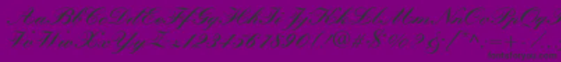 QuillScriptBlackSsiBlack Font – Black Fonts on Purple Background