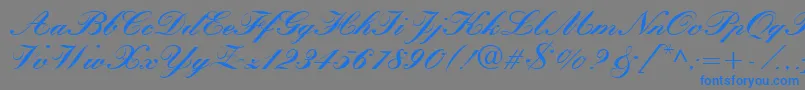 Шрифт QuillScriptBlackSsiBlack – синие шрифты на сером фоне