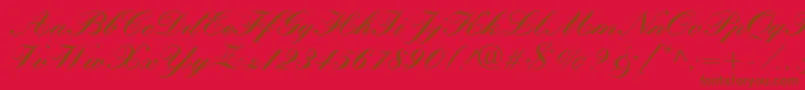 QuillScriptBlackSsiBlack Font – Brown Fonts on Red Background