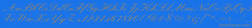 QuillScriptBlackSsiBlack Font – Gray Fonts on Blue Background