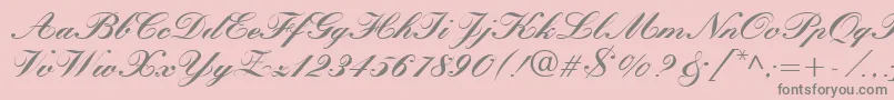 fuente QuillScriptBlackSsiBlack – Fuentes Grises Sobre Fondo Rosa
