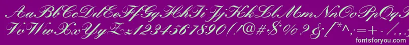 QuillScriptBlackSsiBlack Font – Green Fonts on Purple Background