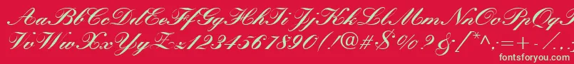 QuillScriptBlackSsiBlack Font – Green Fonts on Red Background