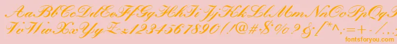 QuillScriptBlackSsiBlack Font – Orange Fonts on Pink Background