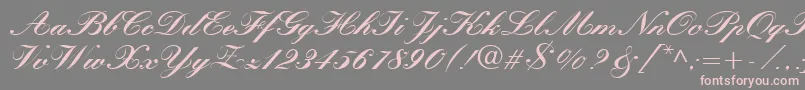 QuillScriptBlackSsiBlack Font – Pink Fonts on Gray Background