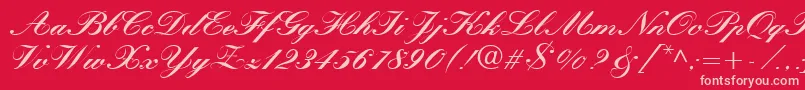 QuillScriptBlackSsiBlack Font – Pink Fonts on Red Background