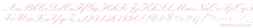 QuillScriptBlackSsiBlack Font – Pink Fonts on White Background