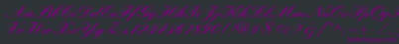 QuillScriptBlackSsiBlack Font – Purple Fonts on Black Background