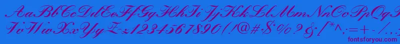 QuillScriptBlackSsiBlack Font – Purple Fonts on Blue Background