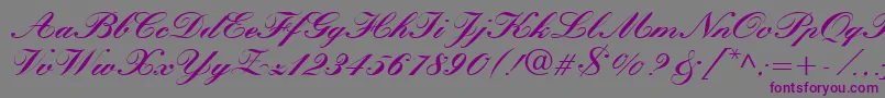 QuillScriptBlackSsiBlack Font – Purple Fonts on Gray Background