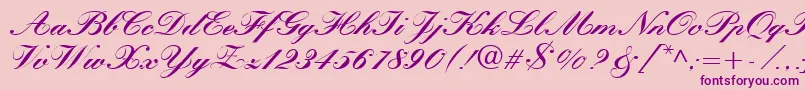 QuillScriptBlackSsiBlack-Schriftart – Violette Schriften auf rosa Hintergrund