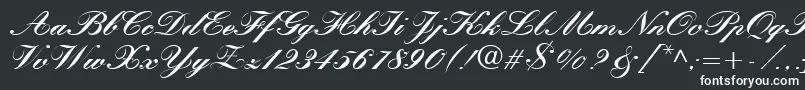 QuillScriptBlackSsiBlack Font – White Fonts on Black Background