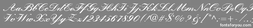 QuillScriptBlackSsiBlack Font – White Fonts on Gray Background