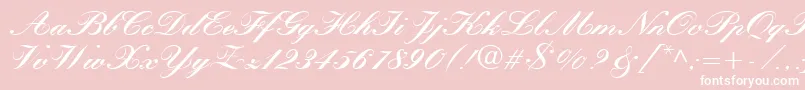 QuillScriptBlackSsiBlack Font – White Fonts on Pink Background