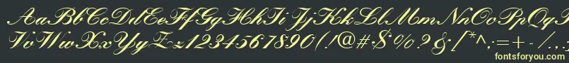 QuillScriptBlackSsiBlack Font – Yellow Fonts on Black Background