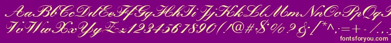 QuillScriptBlackSsiBlack Font – Yellow Fonts on Purple Background