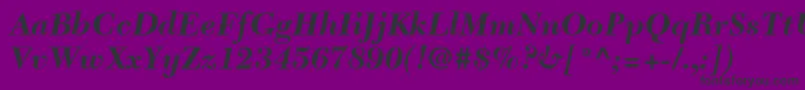 NewCaledoniaLtBoldItalic Font – Black Fonts on Purple Background