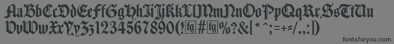 Traditio Font – Black Fonts on Gray Background