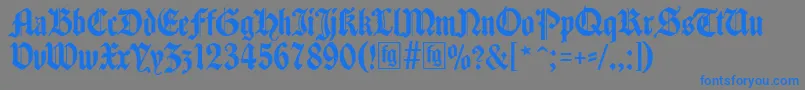 Traditio Font – Blue Fonts on Gray Background