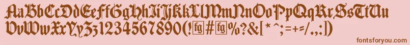 Traditio Font – Brown Fonts on Pink Background