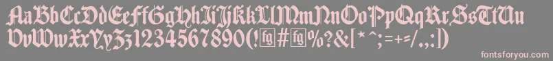 Traditio Font – Pink Fonts on Gray Background
