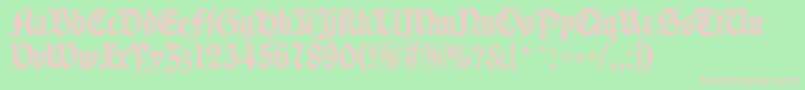 Traditio Font – Pink Fonts on Green Background