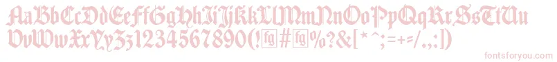 More about Traditio Font Traditio Font – Pink Fonts