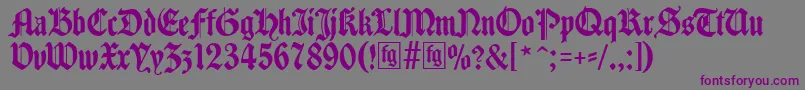 Шрифт Traditio – фиолетовые шрифты на сером фоне