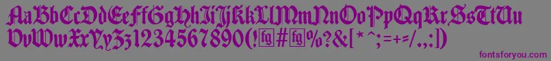 Traditio Font – Purple Fonts on Gray Background