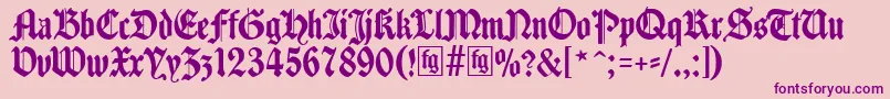 フォントTraditio – ピンクの背景に紫のフォント