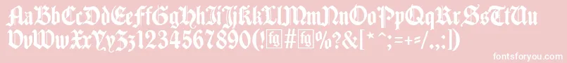 Шрифт Traditio – белые шрифты на розовом фоне
