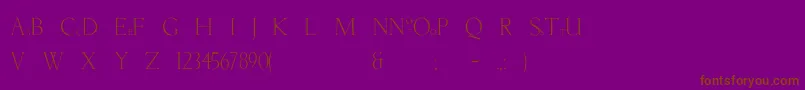 Newtunian Font – Brown Fonts on Purple Background