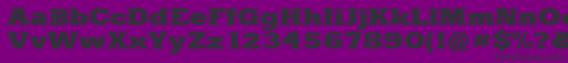 YacimientoExtraboldEx Font – Black Fonts on Purple Background