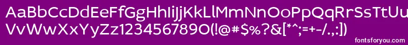 Idealistsans Font – White Fonts on Purple Background