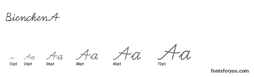 Размеры шрифта BienchenA