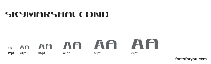 Skymarshalcond Font Sizes